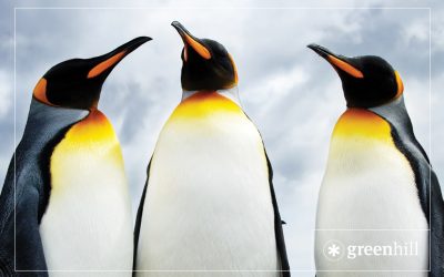 Self-publish your book by raising funds through crowdfunding