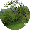 Granville Pillar profile picture